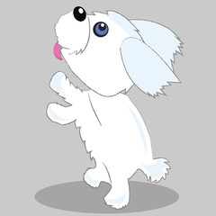 illustration of funny little maltese dog in action pose. Furry pet cute, animal happy. Vector cartoon character 
