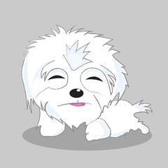illustration of funny little maltese dog in action pose. Furry pet cute, animal happy. Vector cartoon character 