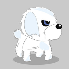 illustration of funny little maltese dog in action pose. Furry pet cute, animal happy. Vector cartoon character 