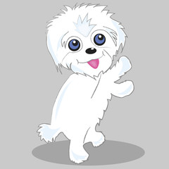 illustration of funny little maltese dog in action pose. Furry pet cute, animal happy. Vector cartoon character 
