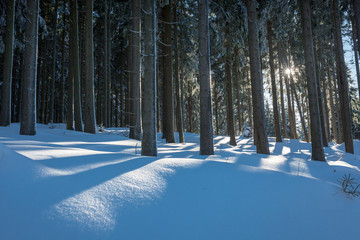 winter cross-country skiing landscape rennsteig, thuringia, germany