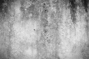 Obraz premium Wall background