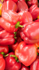 sweet ripe pepper farm harvest