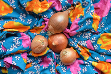 organic onion on fabric background