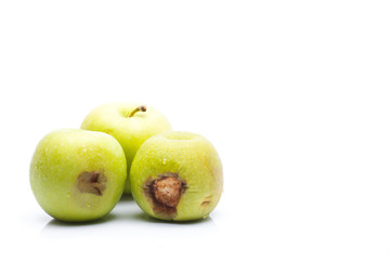 Rotten green apple isolated on white background
