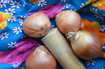 organic onion on fabric background