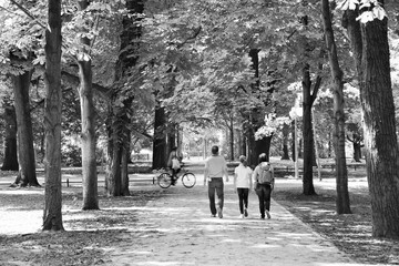 Tiergarten in Berlin. Retro filtered black and white tone.