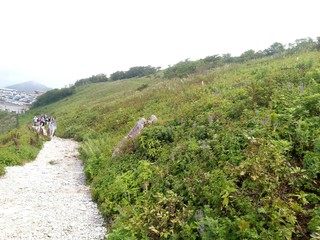 road in the mountains
