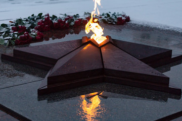 Roses by the eternal flame in the snow