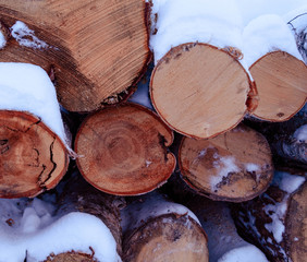 pile of logs