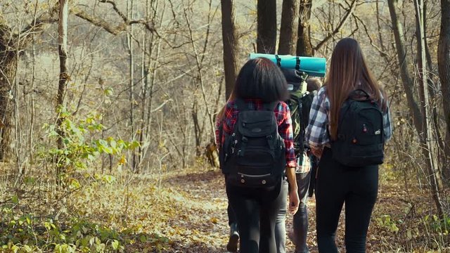 Young active tourists hiking in autumn forest on sunny day