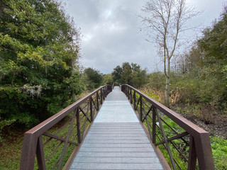 Fototapeta na wymiar Footbridge across wetland on woodland trail