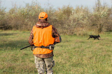 A man with a gun in his hands and an orange vest on a pheasant hunt in a wooded area in cloudy weather. Hunter with dogs in search of game.