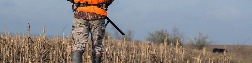 A man with a gun in his hands and an orange vest on a pheasant hunt in a wooded area in cloudy weather. Hunter with dogs in search of game.