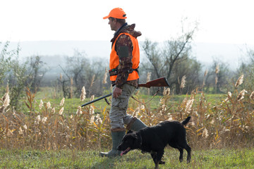 A man with a gun in his hands and an orange vest on a pheasant hunt in a wooded area in cloudy...