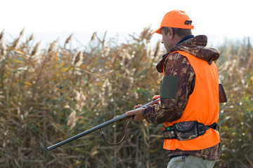 A man with a gun in his hands and an orange vest on a pheasant hunt in a wooded area in cloudy...