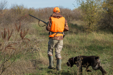 A man with a gun in his hands and an orange vest on a pheasant hunt in a wooded area in cloudy weather. Hunter with dogs in search of game.