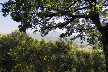 il tuscolo,monteporziocatone,roma,italia