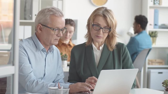 Chest-up shot of senior Caucasian female manager sitting in office with middle-aged new male employee and explaining hum duties and responsibilities on laptop