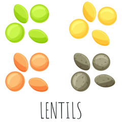 Lentis in different colors vector set, isolated cartoon style illustration.