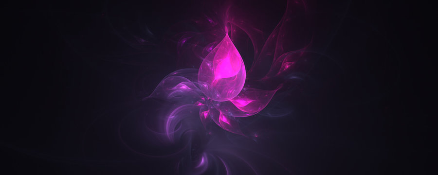 glowing abstract pink flowers with black background