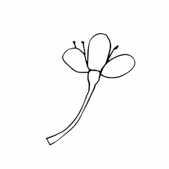 Vector one sakura. Black spring illustration flowers line art on a white isolated background. Design for weddings, prints, stickers, web, coloring, cards, layouts.