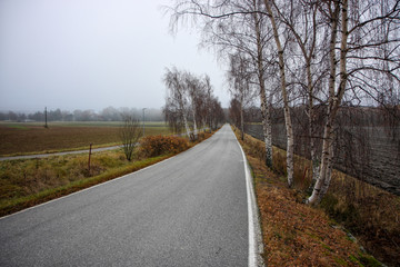 The trees have lost their colorful leaves in the fall. Winter is coming.