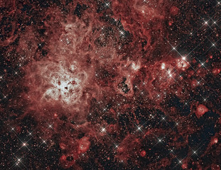 Tarantula Nebula