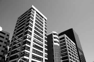 Fototapeta premium Wellington city, New Zealand. Black and white retro style.