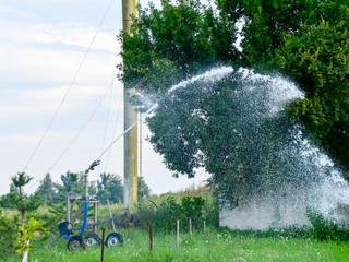 Irrigation system Watering in the garden. Watering the seedlings