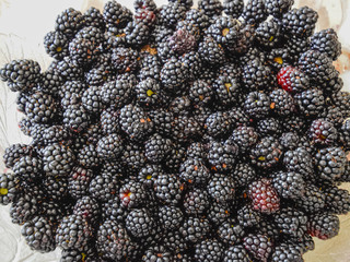 Plate with berries black blackberries