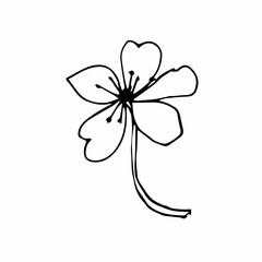 Vector one sakura. Black spring illustration flowers line art on a white isolated background. Design for weddings, prints, stickers, web, coloring, cards, layouts.