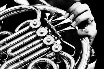 hornist in the open air concert and details - obrazy, fototapety, plakaty