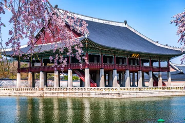 Foto op Plexiglas gyeongbokgung palace in spring at seoul city south korea © sayan