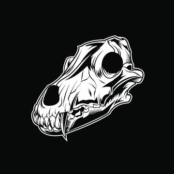 wolf skull vector illustration design