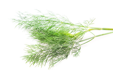 Bunch of green dill.