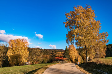 Naklejka premium Beautiful autumn or indian summer view near Kostenz, Bavarian forest, Bavaria, Germany