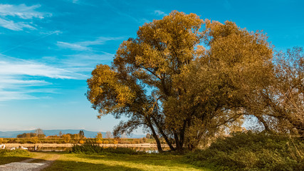 Beautiful autumn or indian summer view near Osterhofen, Danube, Bavaria, Germany