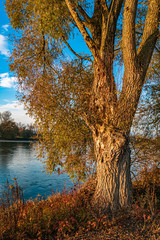 Beautiful autumn or indian summer view near Osterhofen, Danube, Bavaria, Germany