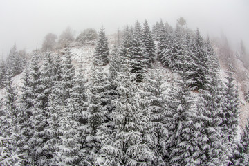 Allphotokz Chimbulak 20170930 6951 5DM3