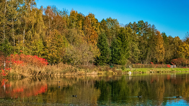 Beautiful autumn or indian summer view with reflections at the Hackerweiher near Deggendorf, Bavaria, Germany