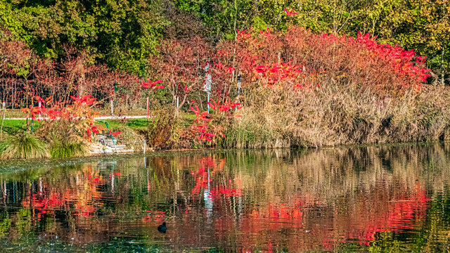 Beautiful autumn or indian summer view with reflections at the Hackerweiher near Deggendorf, Bavaria, Germany