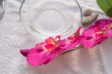 Spa manicure concept, accessories and props for a luxurious procedure, bright sunlight, flat lay
