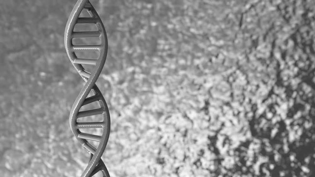 3D structural model of a DNA double helix. Isolated  looped  rotation of a DNA molecule with copy/empty space around for your text or description.