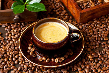 Coffee cup and coffee beans on  dark  background