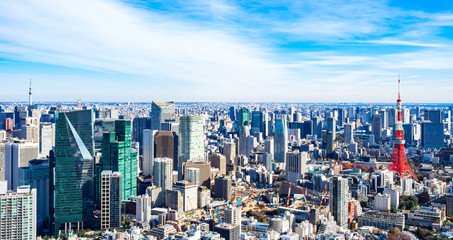 Fototapeta na wymiar 東京を象徴する都市風景 