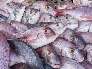 Choice Fresh fishes in a market - food seafood - ready to cook grill
