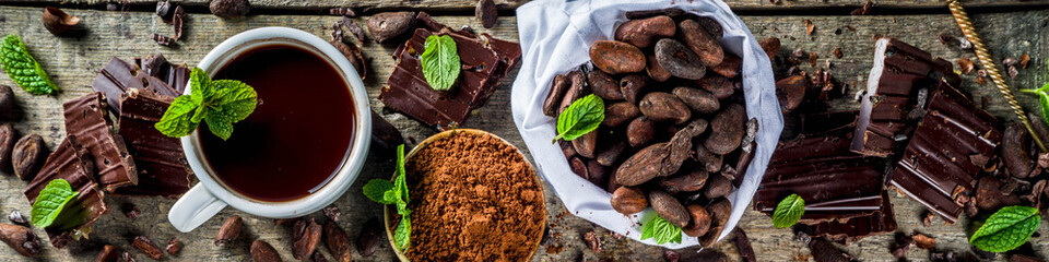 Different conditions of cocoa. Various cocoa - beans, beans, ground, crushed cocoa powder, chocolate paste, chocolate pieces and hot chocolate in a cup. On a wooden rustic background with copy space f