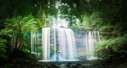 Waterfall in dense rainforest