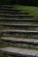 Fototapeta na wymiar stone staircase in the old park